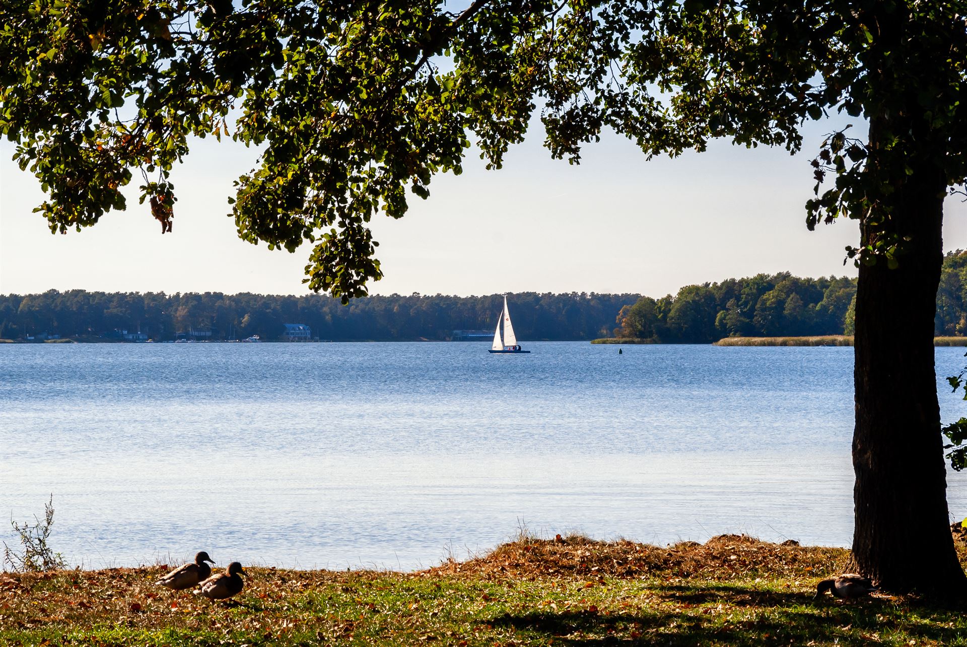 jezioro Mazury